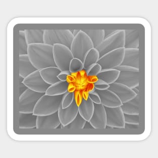 Inner Beauty Floral Pattern Sticker